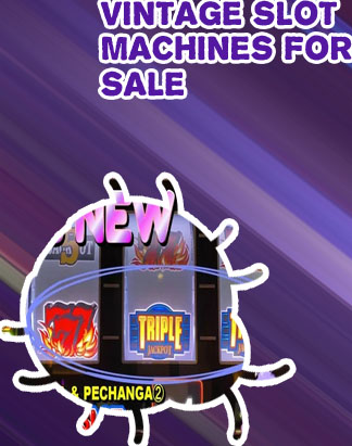 Blazing sevens slot machine for sale