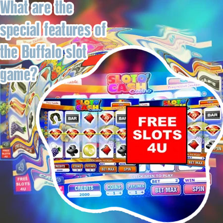 Free online slots with bonus features no download no registration